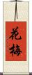花梅 Scroll