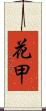 花甲 Scroll