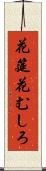 花筵 Scroll