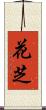 花芝 Scroll