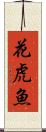 花虎魚 Scroll