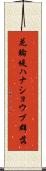 花輪堤ハナショウブ群落 Scroll