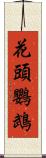 花頭鸚鵡 Scroll