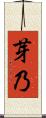 芽乃 Scroll