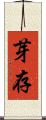 芽存 Scroll