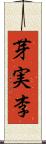 芽実李 Scroll