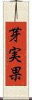 芽実果 Scroll