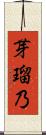 芽瑠乃 Scroll