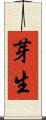 芽生 Scroll
