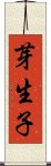 芽生子 Scroll