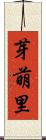 芽萌里 Scroll