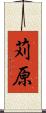 苅原 Scroll