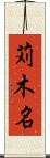 苅木名 Scroll