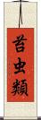 苔虫類 Scroll