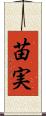 苗実 Scroll
