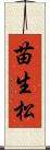 苗生松 Scroll
