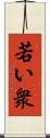 若い衆 Scroll