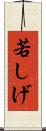若しげ Scroll