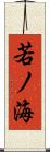 若ノ海 Scroll