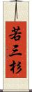 若三杉 Scroll