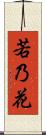 若乃花 Scroll