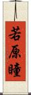 若原瞳 Scroll