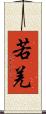 若羌 Scroll