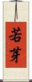 若芽 Scroll
