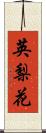 英梨花 Scroll