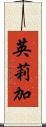 英莉加 Scroll