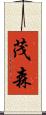 茂森 Scroll