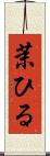 茉ひる Scroll