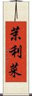 茉利菜 Scroll