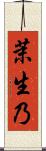 茉生乃 Scroll