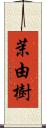 茉由樹 Scroll