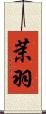茉羽 Scroll