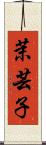 茉芸子 Scroll