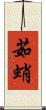 茹蛸 Scroll