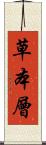 草本層 Scroll