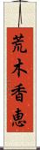 荒木香恵 Scroll