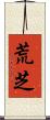 荒芝 Scroll