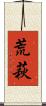 荒萩 Scroll