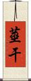 莖干 Scroll