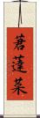 莙薘菜 Scroll