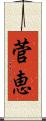 菅恵 Scroll