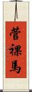 菅裸馬 Scroll