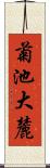 菊池大麓 Scroll