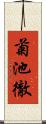 菊池徹 Scroll