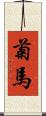 菊馬 Scroll