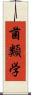 菌類学 Scroll